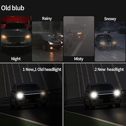 Miniatura 5 de Bombilla halógena para faros delanteros con luz súper blanca P20D 12 V60 W 5000 K, 2 unidades, larga vida útil