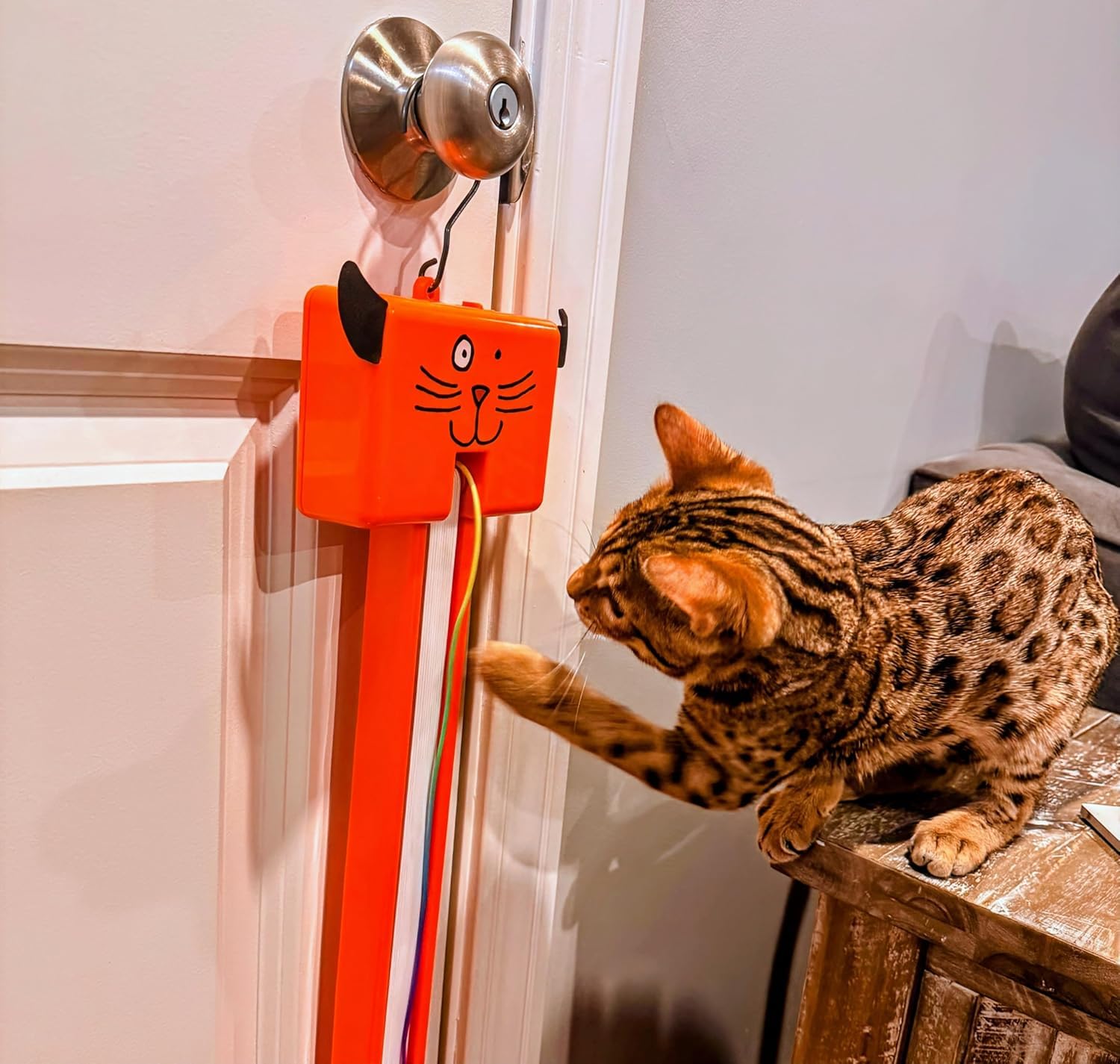 Amazon.com : Moody Pet Interactive Cat Toy for Indoor Cats  Fling-AMA- String Automatic, Moving, Flying String Toy for Cats  Battery Operated,  Door Hanging Exercise Toy for Kittens & Adult Cats :