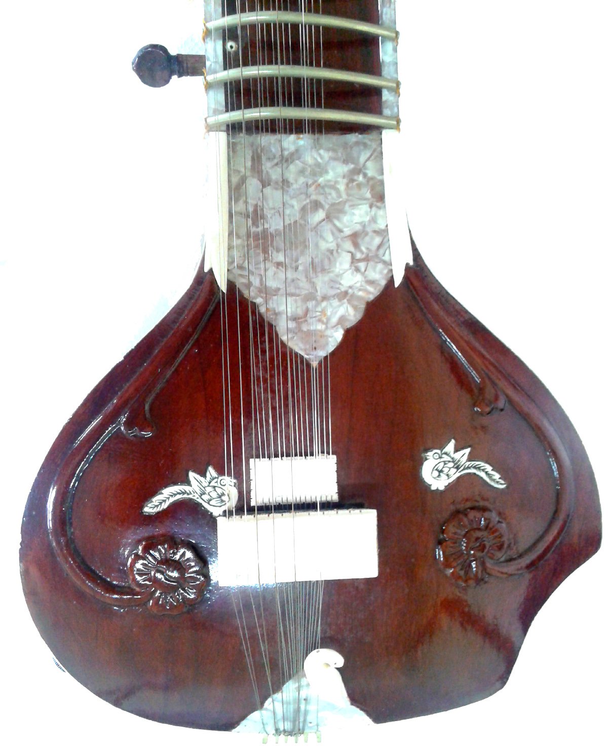 bella mano intagliato Sitar indiano in palissandro scuro. tagliare via il design, Acoustic elettrico.