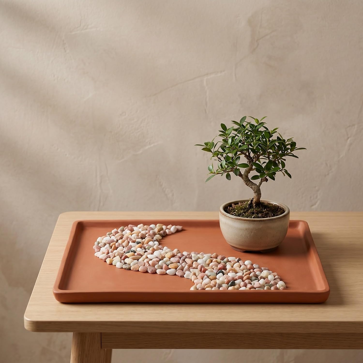 Irregular Shaped Succulent Plant Stones for Cactus