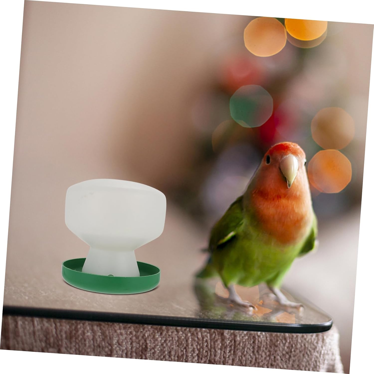 BESPORTBLE 6pcs Parrot Drinking Feeder Plastic Automatic Bird Feeder Bird Feeding Watering Supplies Pet Accessories