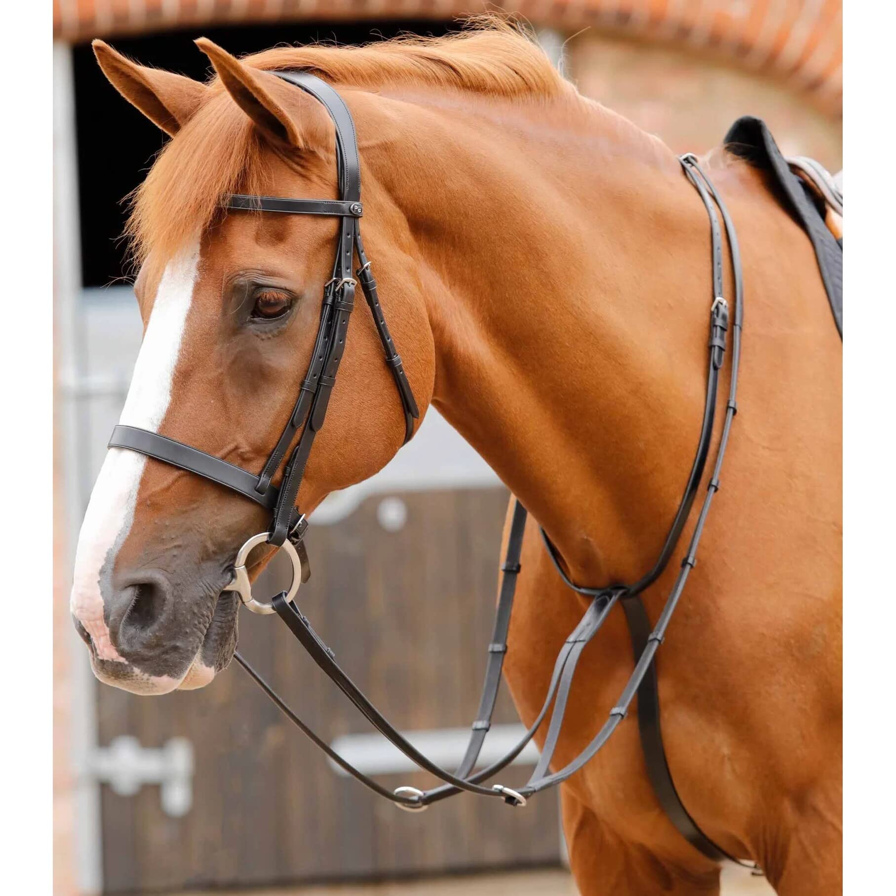 Premier Equine Martingala per Cavalli Fuscaldo