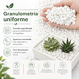 Ver la foto 8