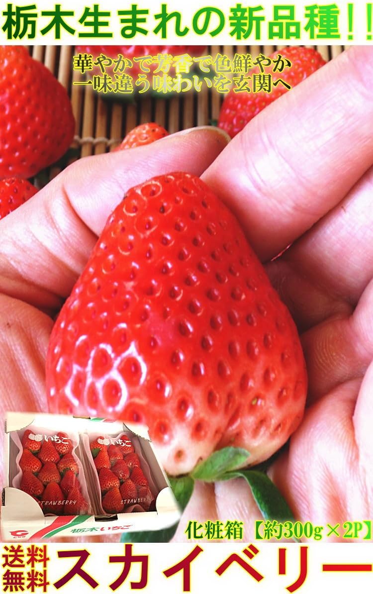 市場 ふるさと納税 苺 数量限定 スカイベリー詰合せ 厳選 23年1 3月発送予定 市場 ふるさと納税 苺 数量限定 スカイベリー詰合せ 厳選 23年1 3月発送予定