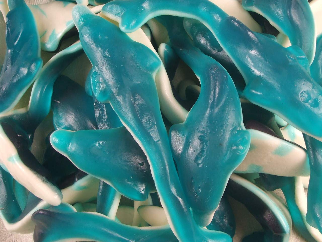 Giant Dolphins 500g Share Bag by The Gourmet Sweet Company
