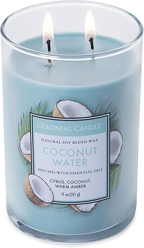 Vista 72 de Colonial Candle Vela perfumada en frasco, cilindros clásicos, brillo navideño, 2 mechas, 19 onzas, morado