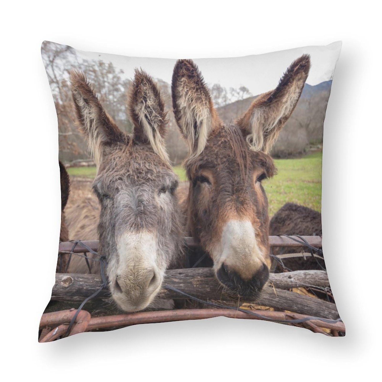 14x14inches (35x35cm) Pillow Covers, Donkey Family in Meadow, during Winter, Chair Cushions, Sofa Cushions, Seat Pillow Cases Cushions, Bed Pillowcase Cushions