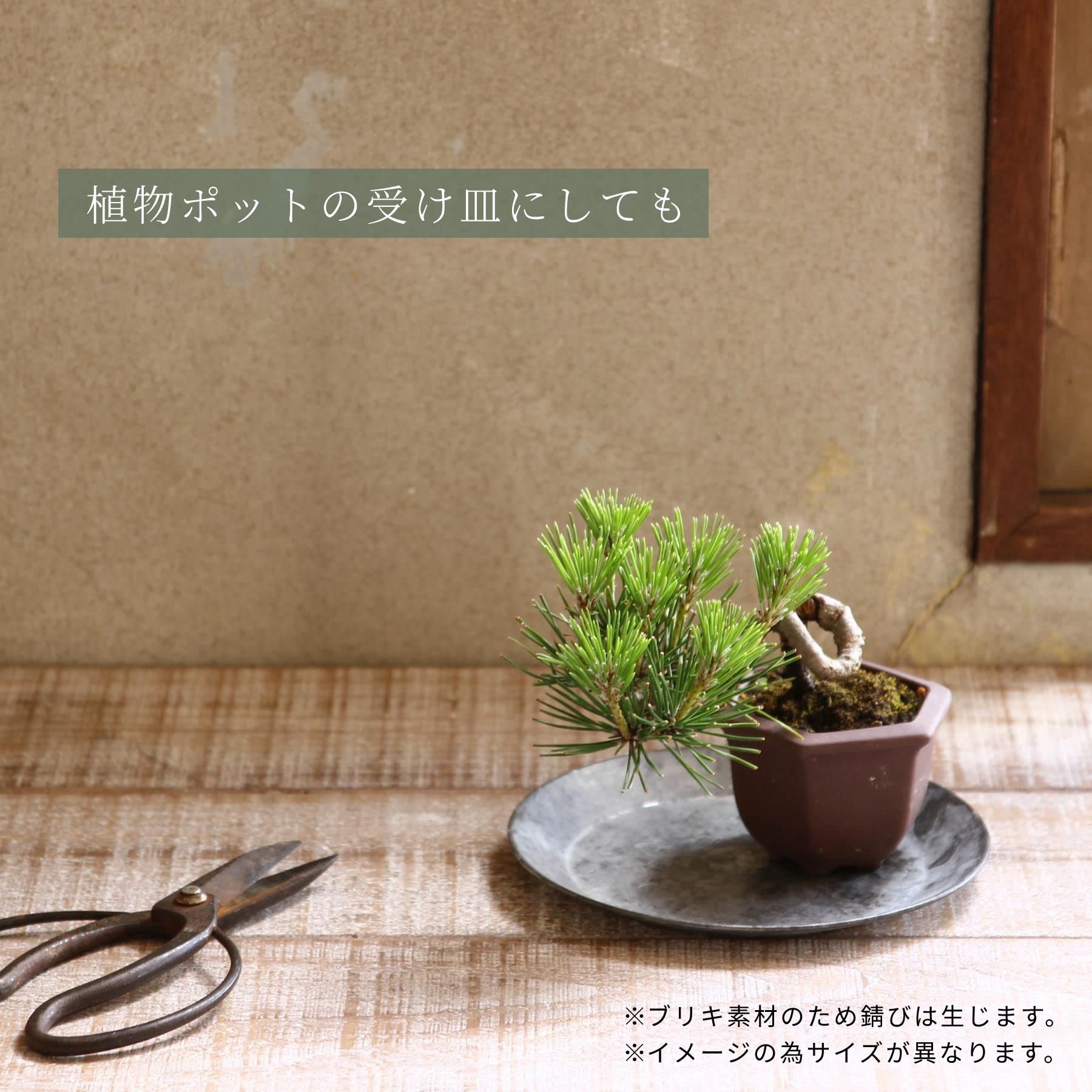Amazon｜スパイス(Spice) SPICE OF LIFE 皿 ブリキ ラウンドトレイ