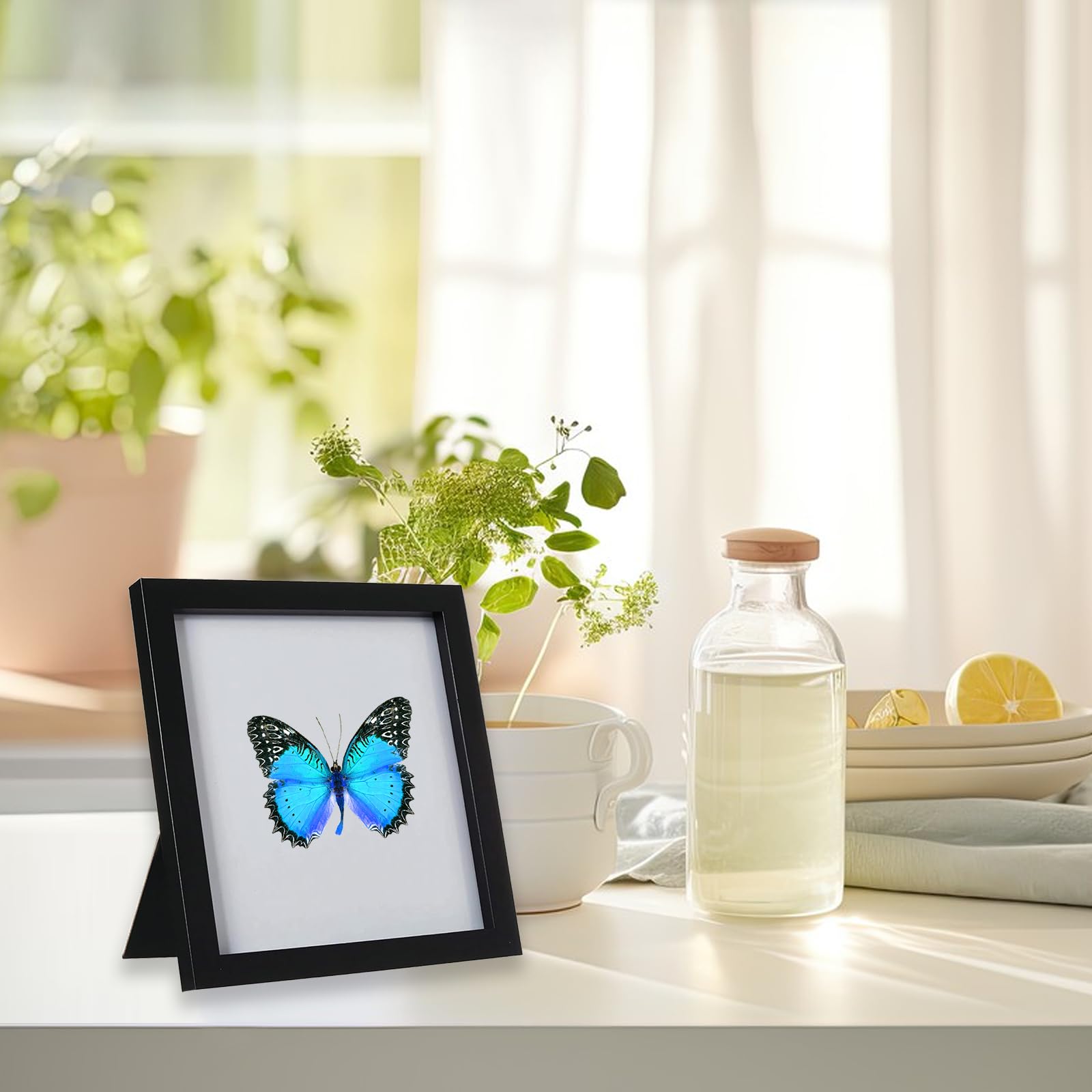 4 Pièces Vitrine à Insectes Murale, Boîte de Présentation D'Insectes pour Spécimen de Papillon avec Panneaux en Mousse EVA,pour Les Amateurs d'insectes,15,1x15,1 cm