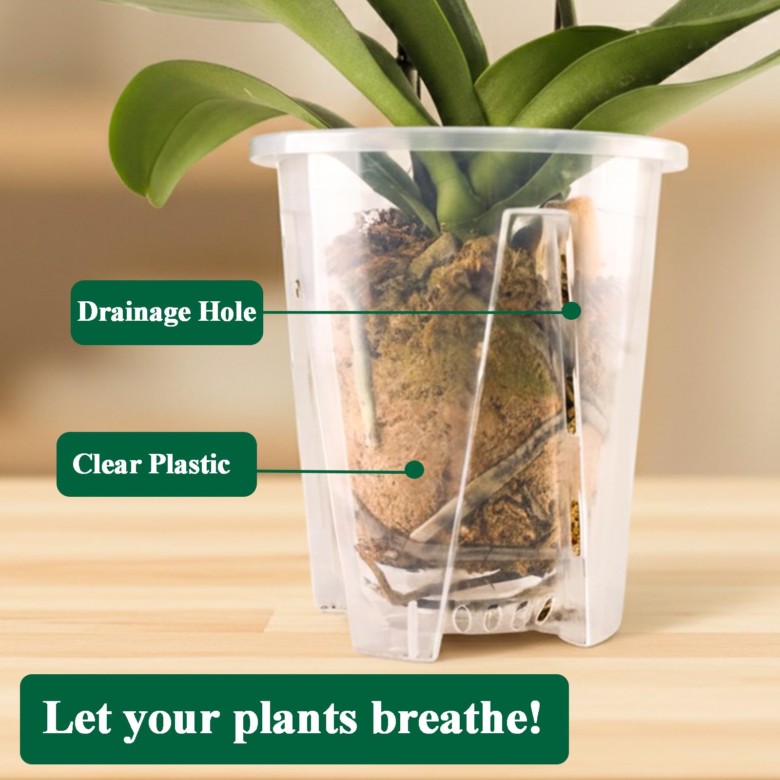 Lot de 6 pots à orchidée transparents avec trous de drainage (12, 12 pouces)