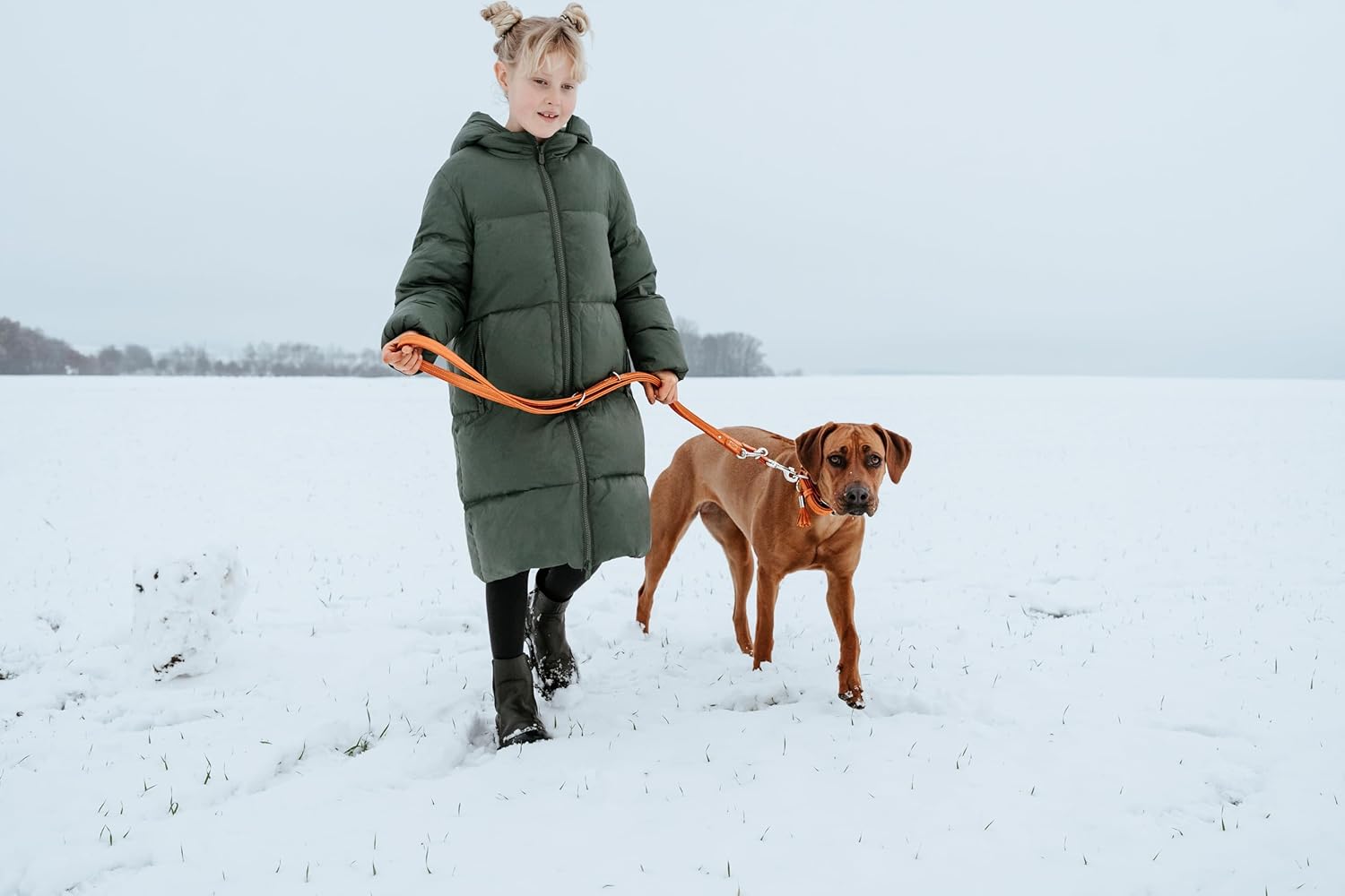 Hunter HT61891 Cannes Leather Training Leash, One Size