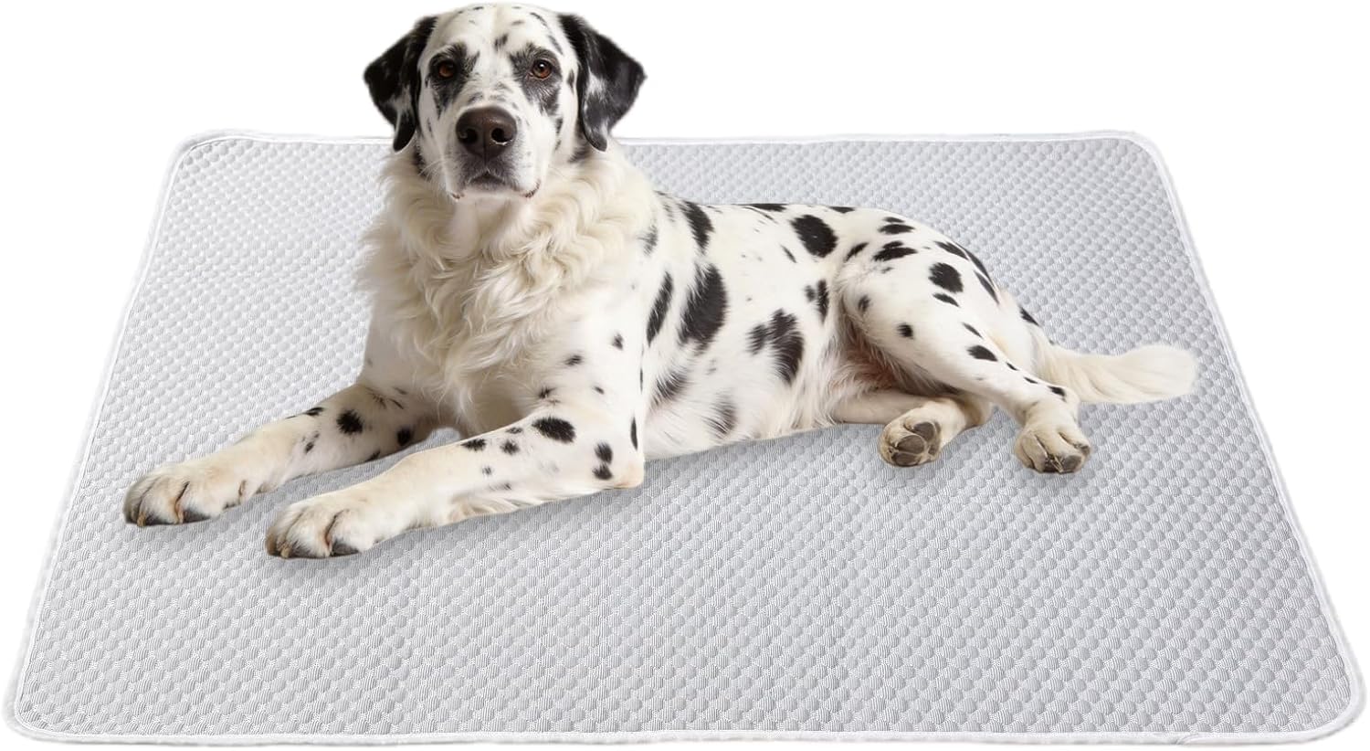 Dog Cooling Mat XL 60"x40" for Giant Dogs, Q-Max>0.4 Ice-Silk Fabric, Thick & Non-Slip, Washable & Waterproof, Portable Rapid Cooling for Crate, Indoor, Camping & Travel (XL, 60"X40")