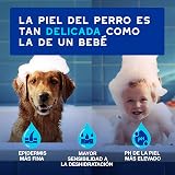 Ver la foto 3