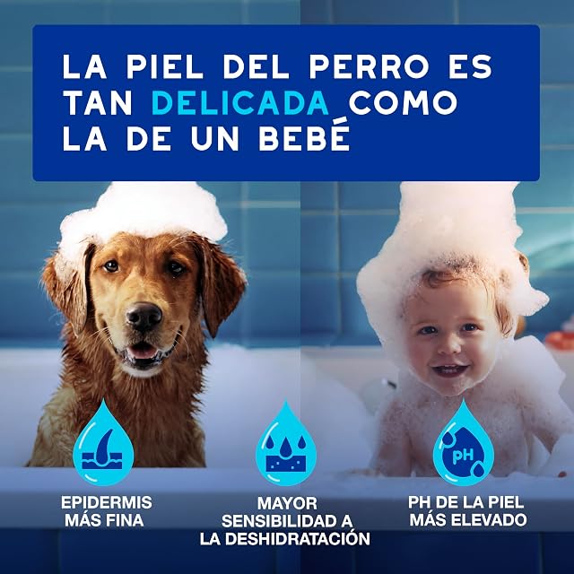 Foto 3 de 8 de DOUXO® Skin & Coat SPA - Espuma Ultra Suave de Limpieza exprés para Perros, 150 ml, Limpia e hidrata de Forma…