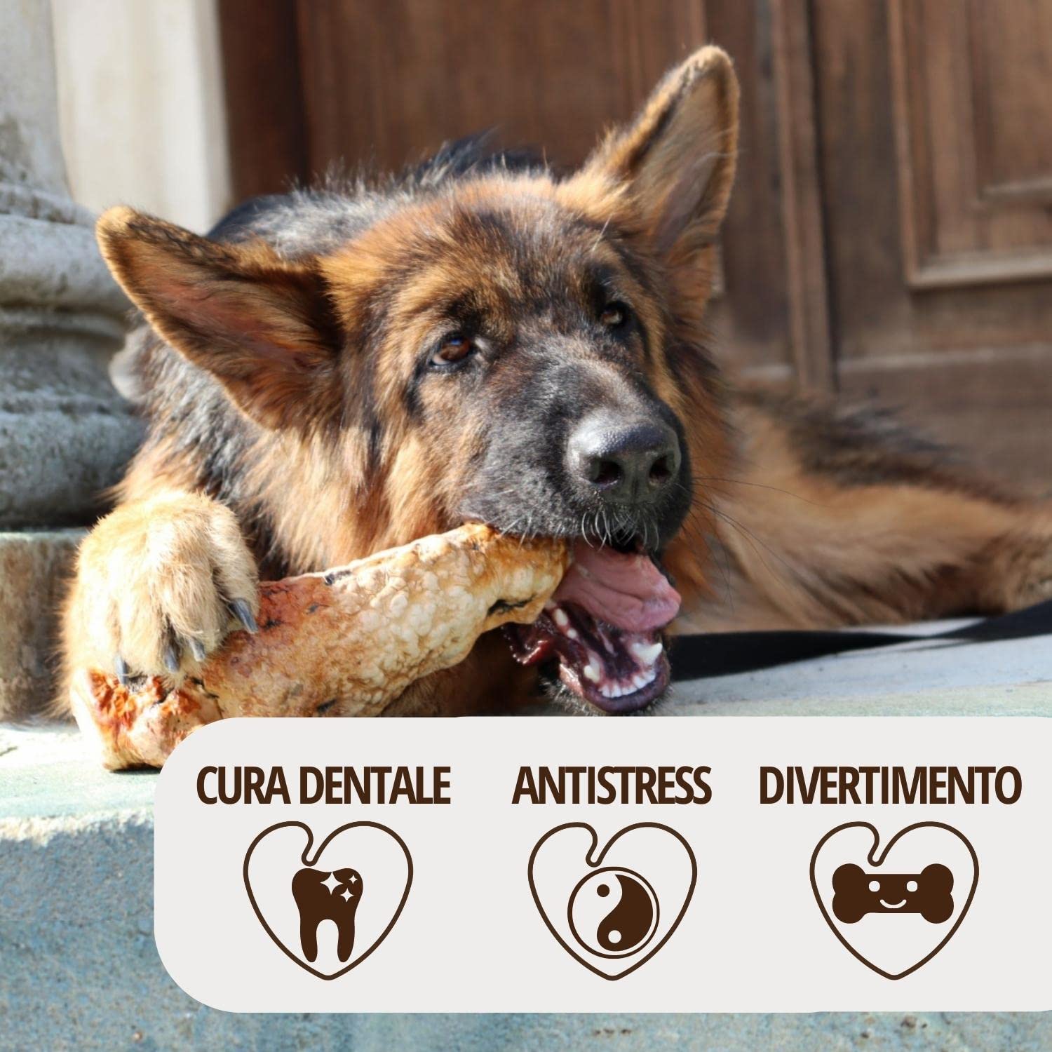 Radice Di Erica Per Cani - Giocattolo Masticabile Naturale Ipoallergenico, Taglia L (450-699g)