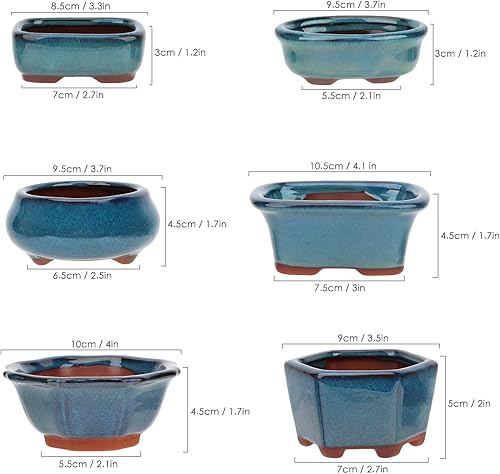 Miniatura 2 de Juego de 6 macetas para suculentas de Bonsái + 6 pantallas de drenaje de malla suave