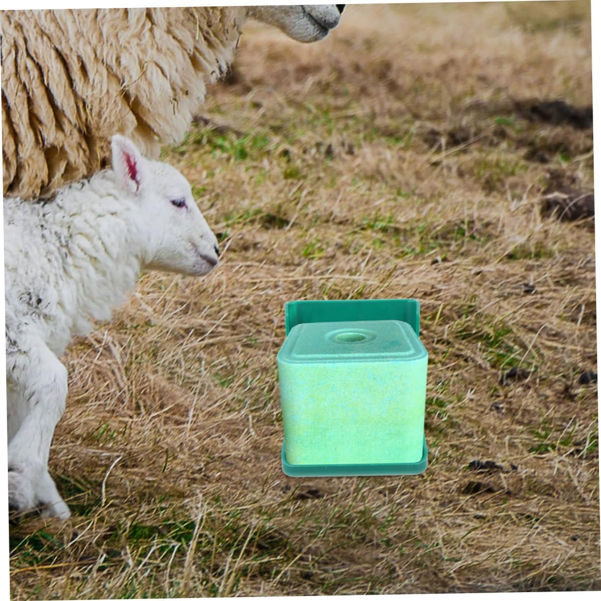 YARNOW Cow Salt Block Licking Rack Farm Salt Feeder for Livestock Easy Cleaning Pp Material