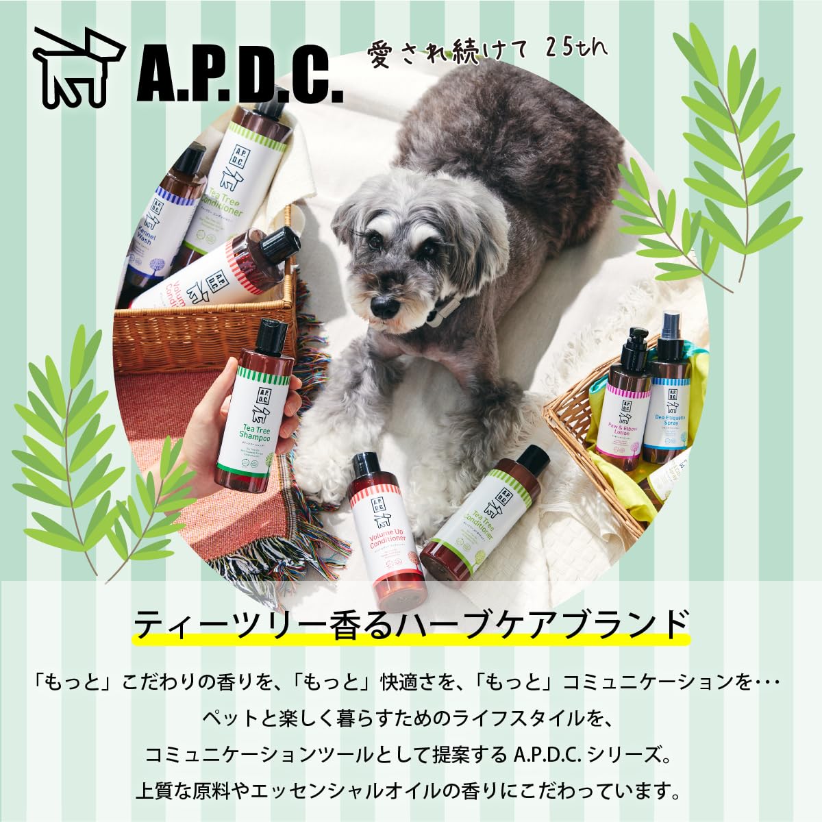 Amazon | A.P.D.C. ティーツリー シャンプー 250mL 全犬種対応 ニオイ