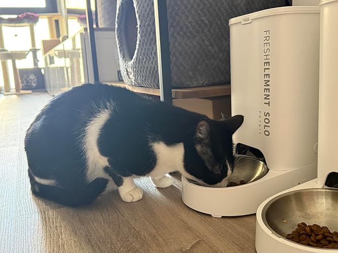 Buena opción para controlar la comida de tu mascota
