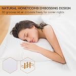 LAVANCE 2 Pack Luxury Hotel Fluffy Queen Sleeping Pillows | Brand New 3D Hollow Fiber Filling Brings Cloud-like Soft Comfort, Honeycomb Embossed Cover, Queen Size 20"x30"