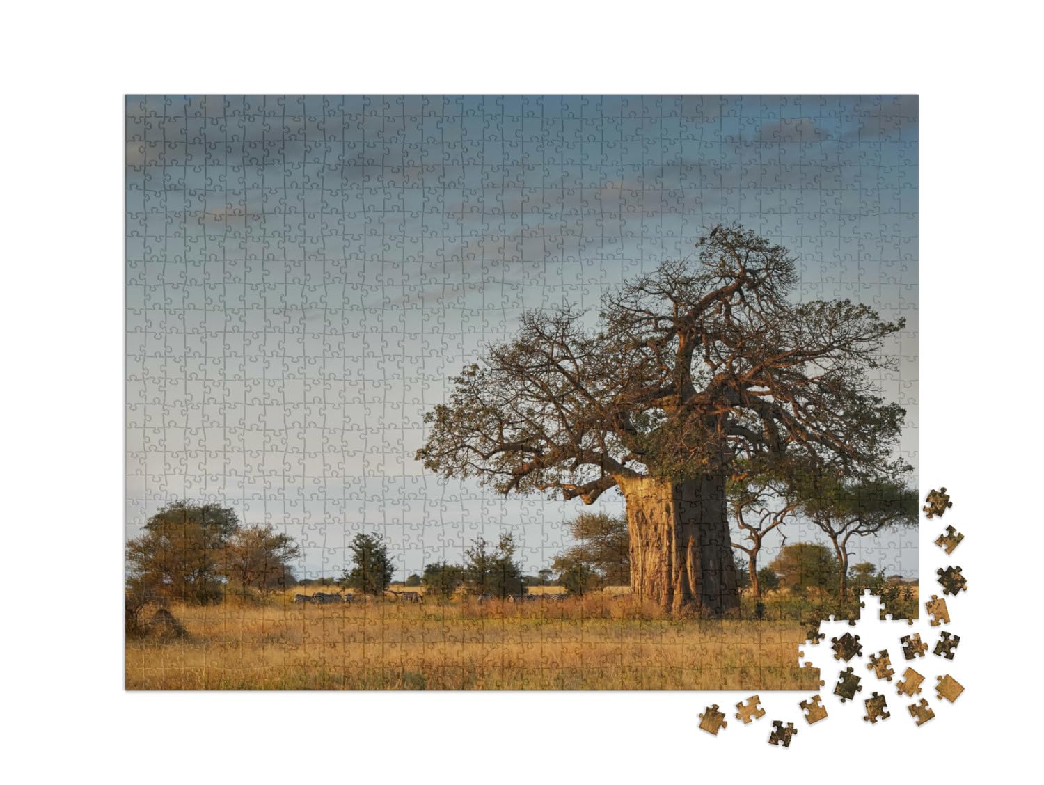 Puzzle 1000 pièces XXL « Paysage Africain avec Un Grand Baobab »