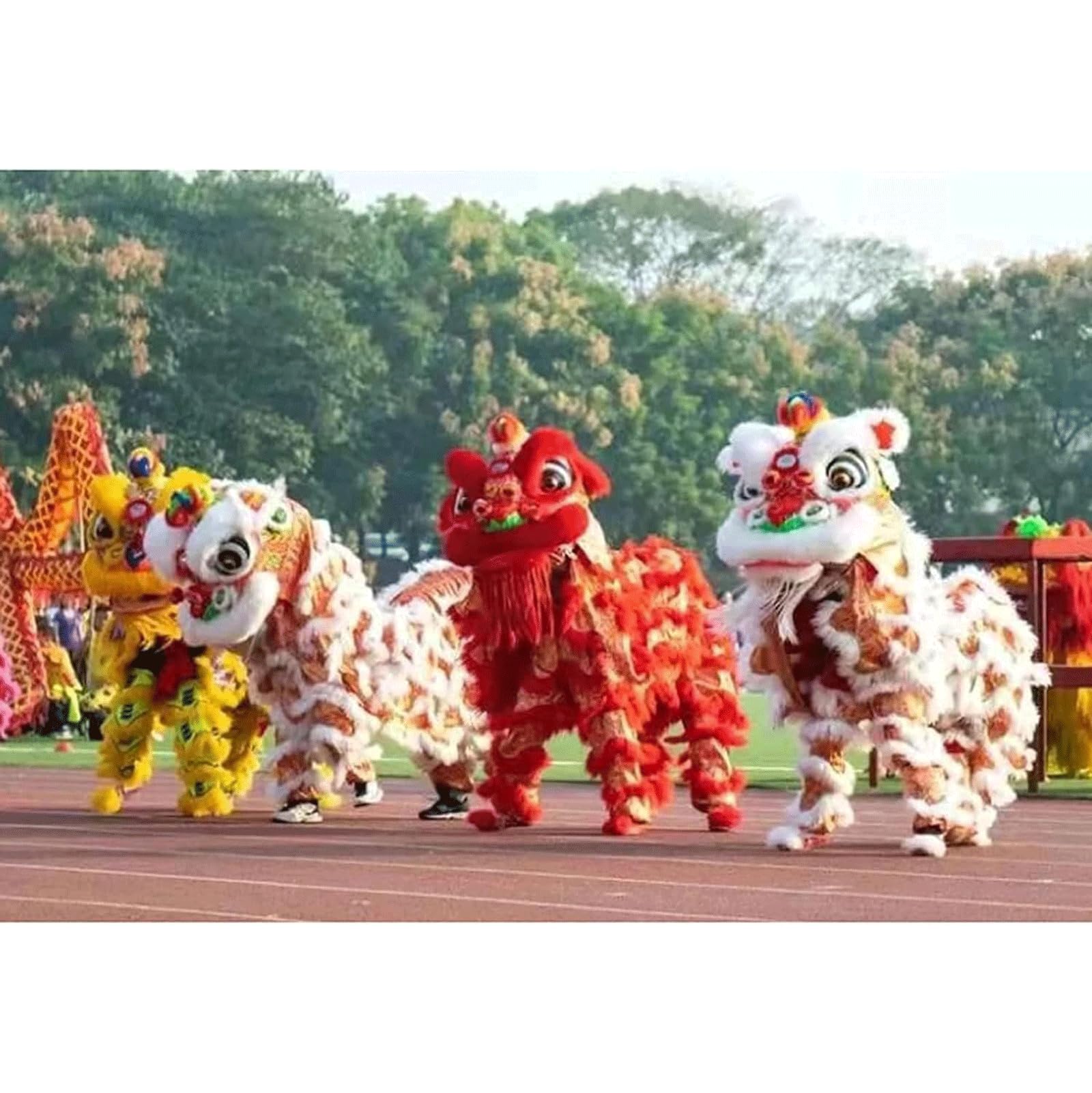 Danza del Leone Drago della Danza del Leone 6 Pollici/8 Pollici Danza del Leone Advanced Wool Lion Dance Head Performance Set di Danza del Leone Costume di Danza Popolare del Leone Portatile