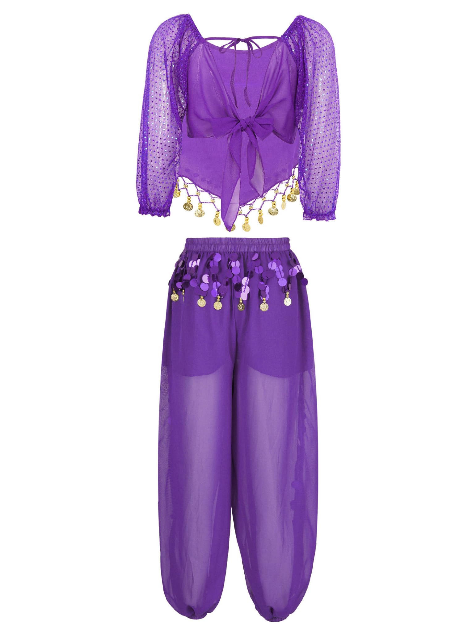 Costume Indien pour Femme pour La Danse du Ventre Ensemble Pièces Chemise Longs Manches Pantalons Lanterne pour Halloween