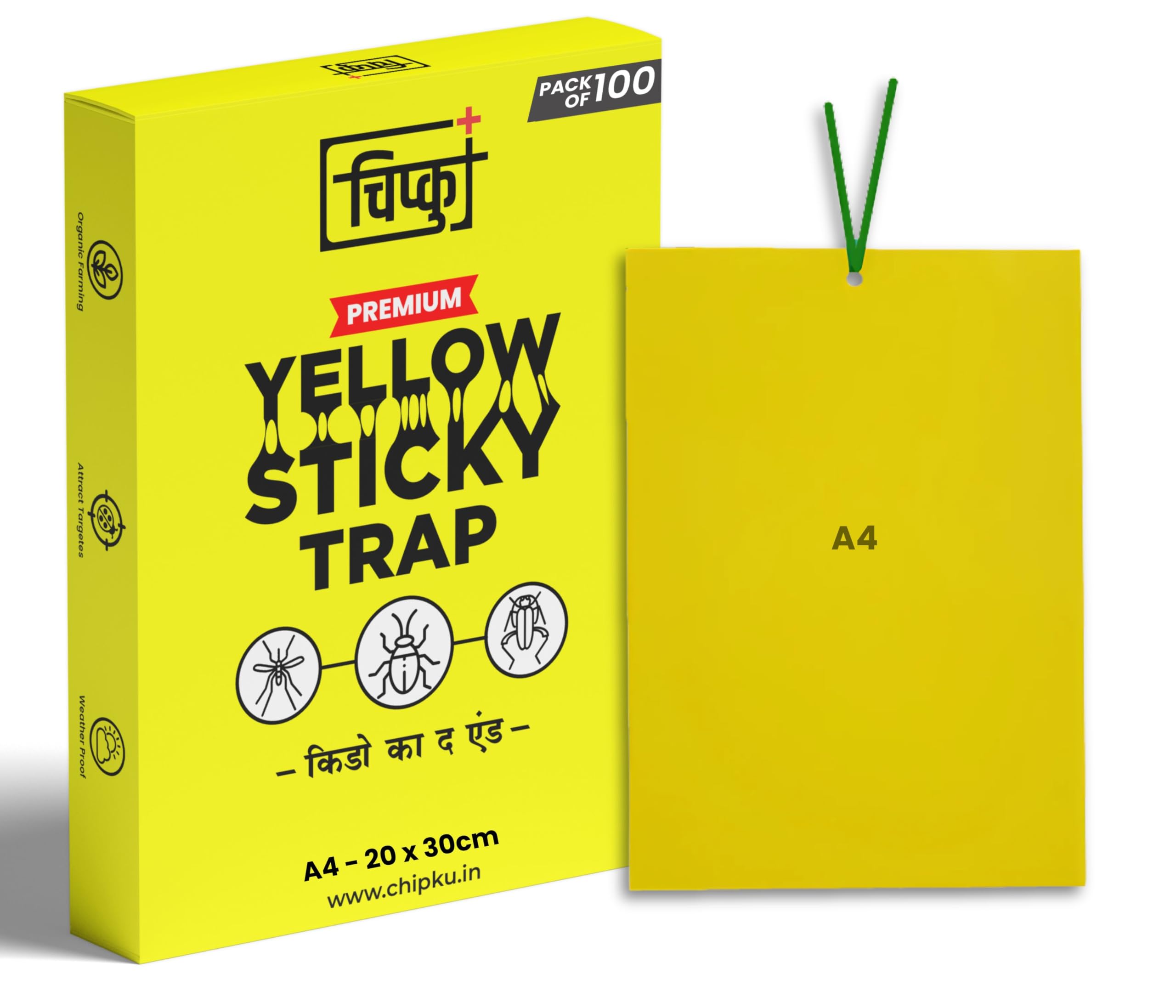 Chipku A4 Yellow Sticky Insect Trap PVC Sheets – Pack of 100 Double-Sided Glue Traps for Whiteflies, Thrips, Aphids, Weatherproof, Chemical-Free, Ideal for Organic Farming & Gardening (100)-image-9
