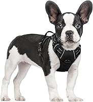 rabbitgoo No Pull Dog Harness for Small Dogs - Adjustable Padded Reflective Vest, 2 Leash Clips, Easy Control Handle, Black Small