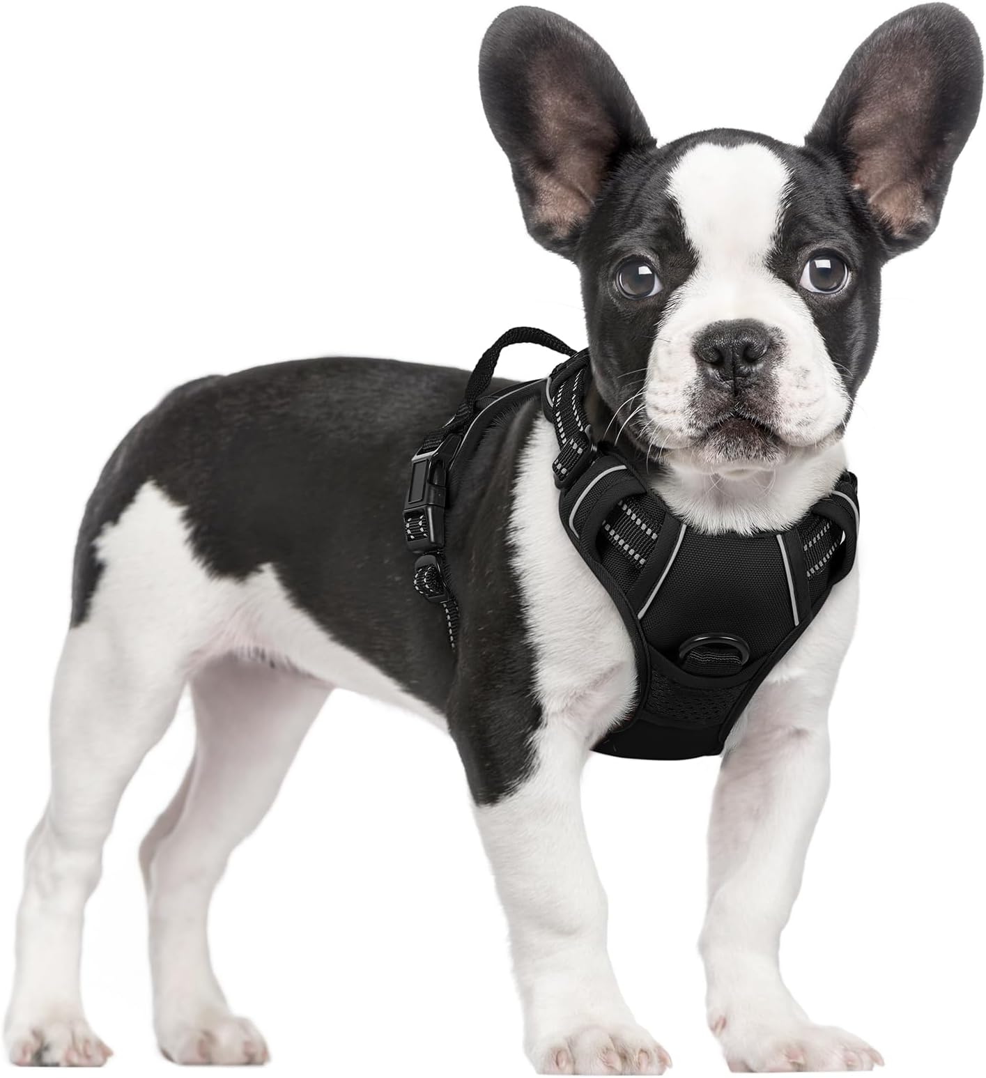 rabbitgoo Dog Harness Small Dog No Pull Pet Harness with 2 Leash Clips, Adjustable Soft Padded Pet Vest Harness, Reflective No-Choke with Easy Control Handle for Training or Walking, Black, S