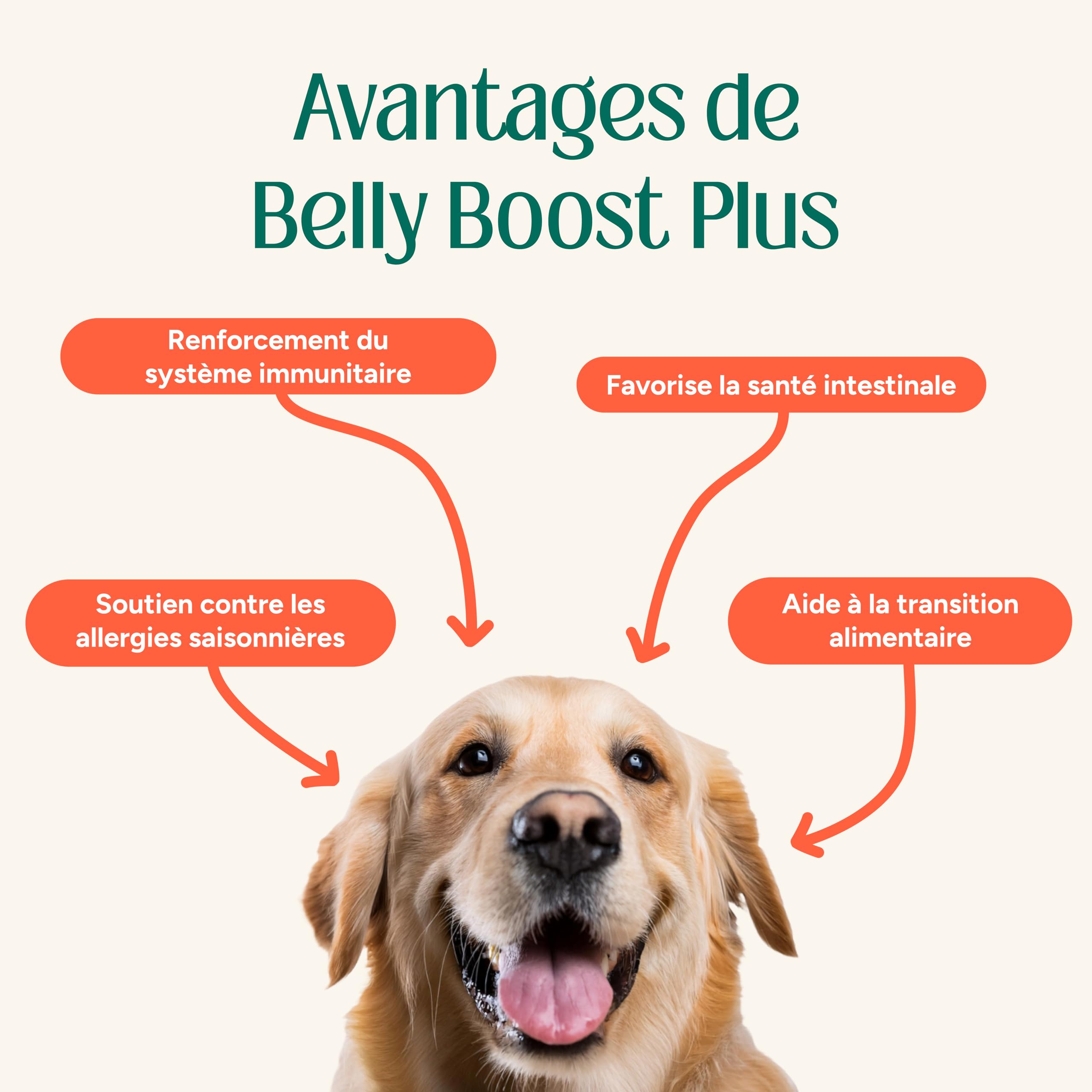 Probiotiques Chien, Complément Naturel pour la Santé Intestinale, Soutien Digestif et Immunitaire, Soulagement des Allergies Toutes Races (60 Chews)