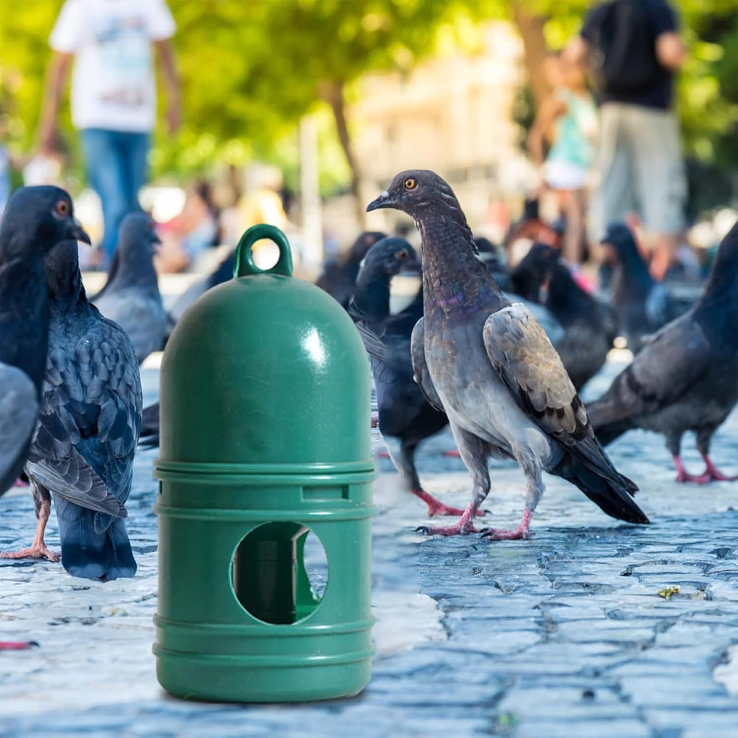 Bird Water Dispenser, Automatic Pigeon Water Bowl, Top Handle Birds Water Pot Container, Pigeon Water Dispenser Drinker, Pet Supplies for Parakeet, Parrot, Quail, Chicken, 1 Litre, Green