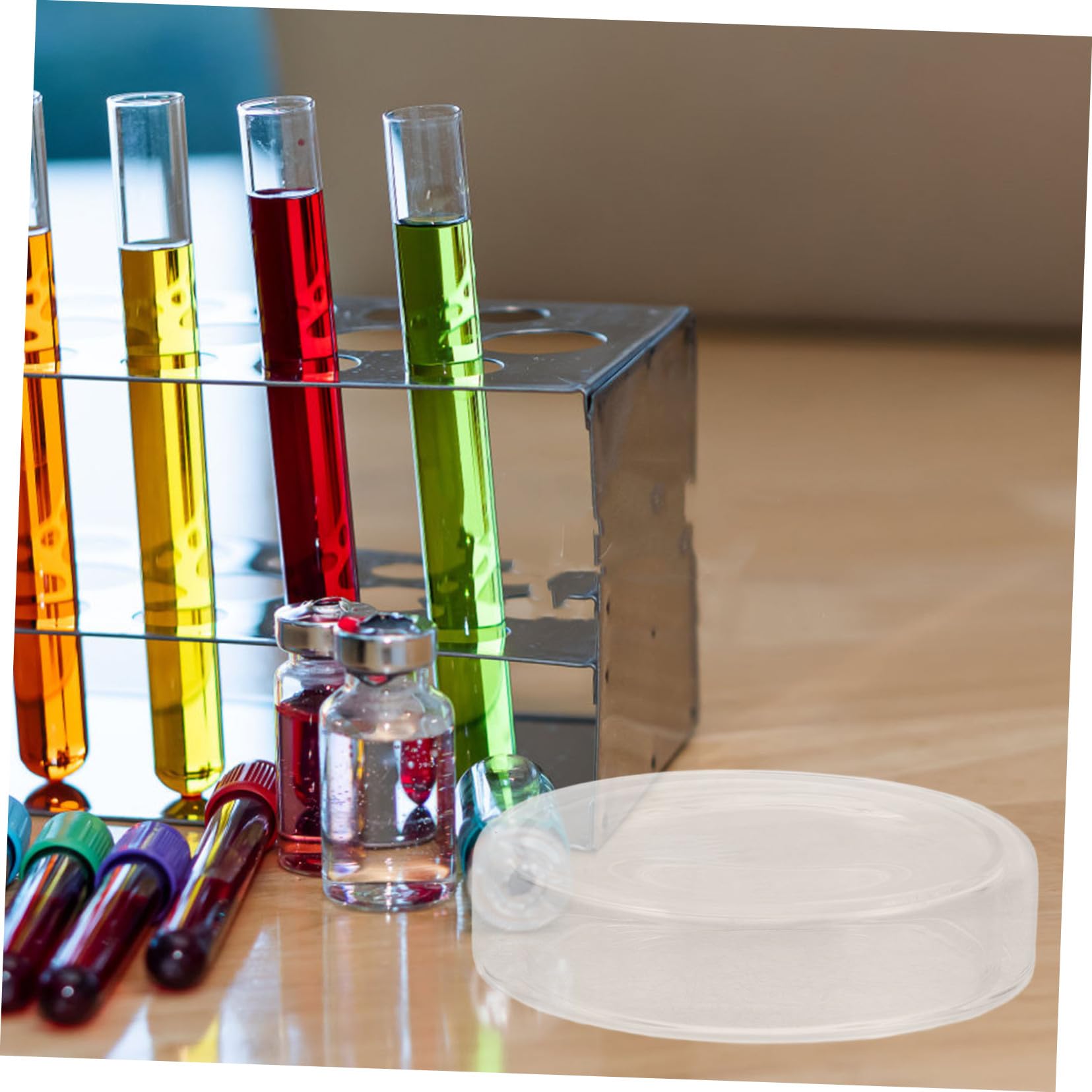 Sosoport 6 pezzi Piastre Petri da Laboratorio in Vetro Borosilicato con Coperchio Trasparente per Colture Cellulari e Tessuti Resistente ad Alte Temperature Riutilizzabili