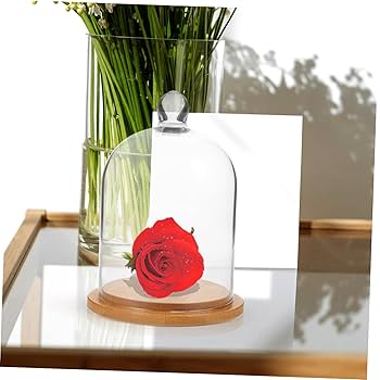 Amazon.co.jp: CRAFTHROU ガラス アロマ ディフューザー