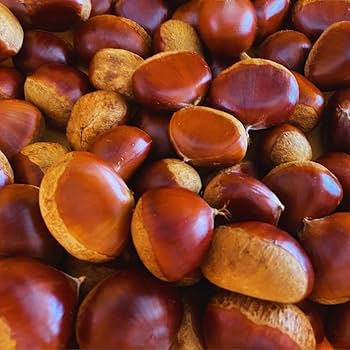 NIKO　生栗ポロタン　サイズ2L 6.5kg 宅配便BOXにて発送 NIKO様専用 生栗ポロタン サイズ2L 6.5kg 宅配便BOXにて発送