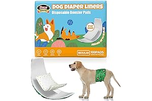 Dono Dog Diapers: For Your Beloved 'Best Friends' on Special Occasions