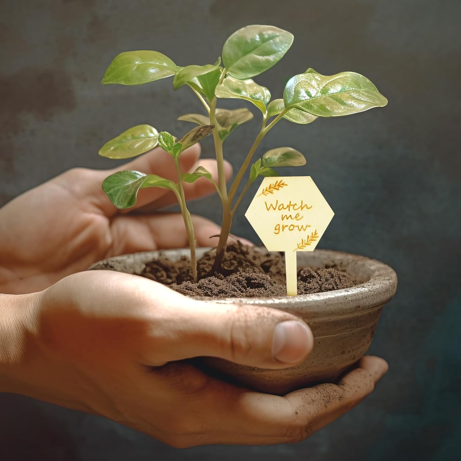 20 Pcs Plant Label Plant Tag - Image 4