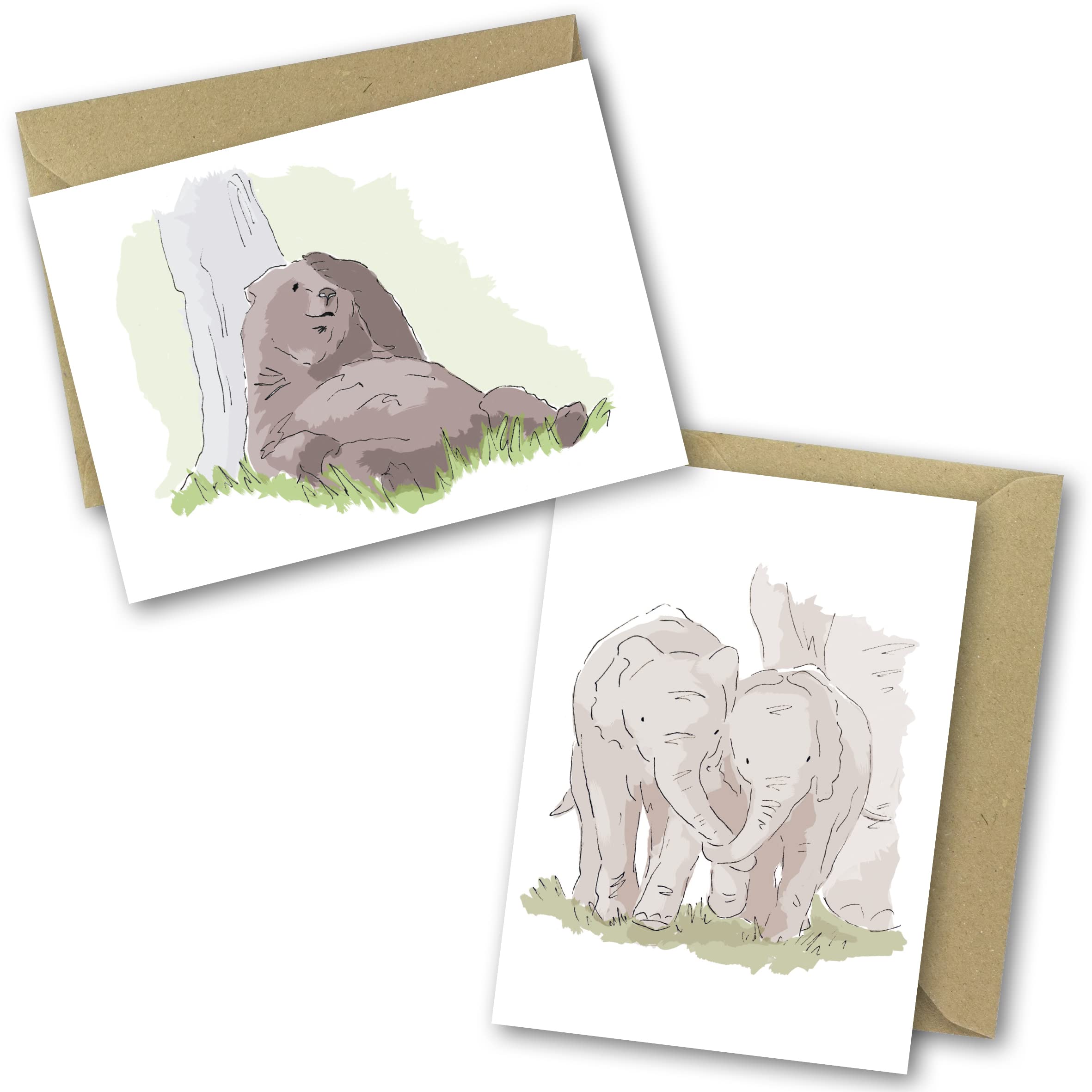 Greetings Cards for All Occasions. 24 Pack Includes 6 Animal Designs. Ecofriendly Cards, Envelopes and Box. Blank Inside. (24 Pack) - Image 4