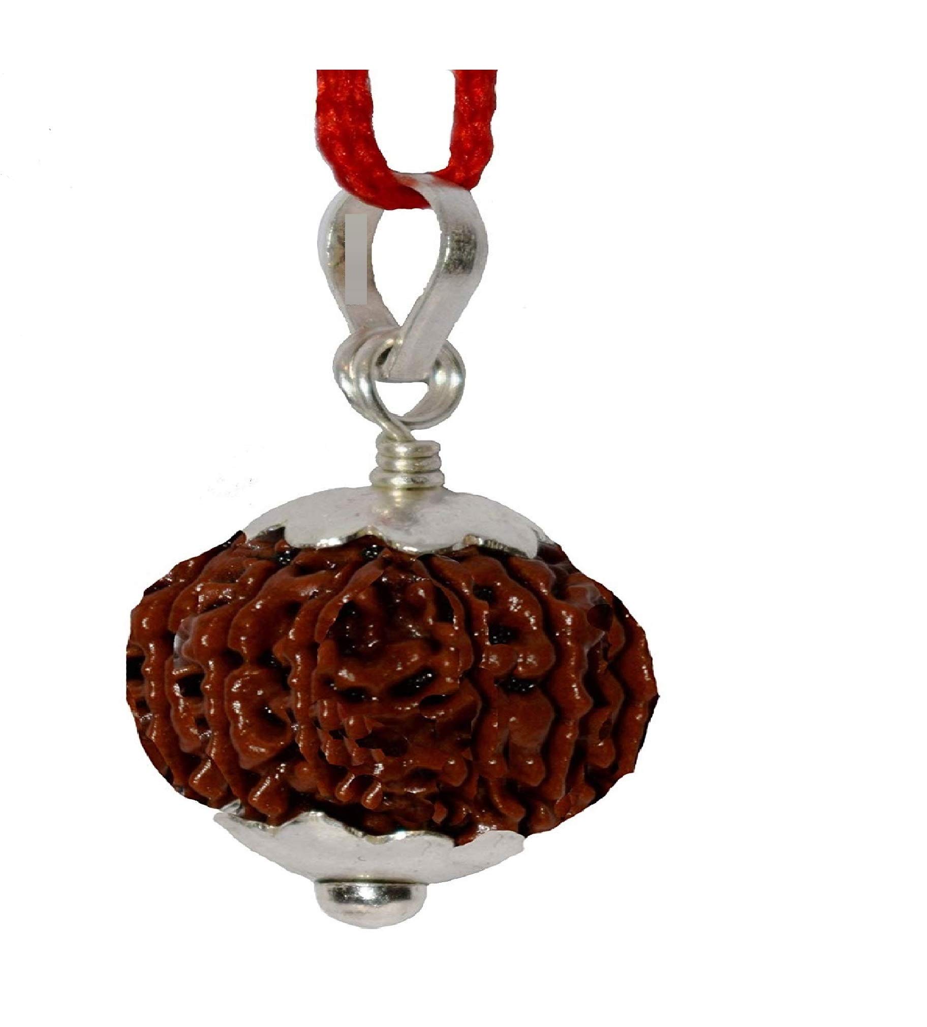 9 Mukhi Rudraksha nine face Pendant 9 Faced Rudraksha Bead original Pendant for Men and Women