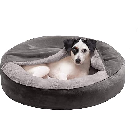 dog bed attachment