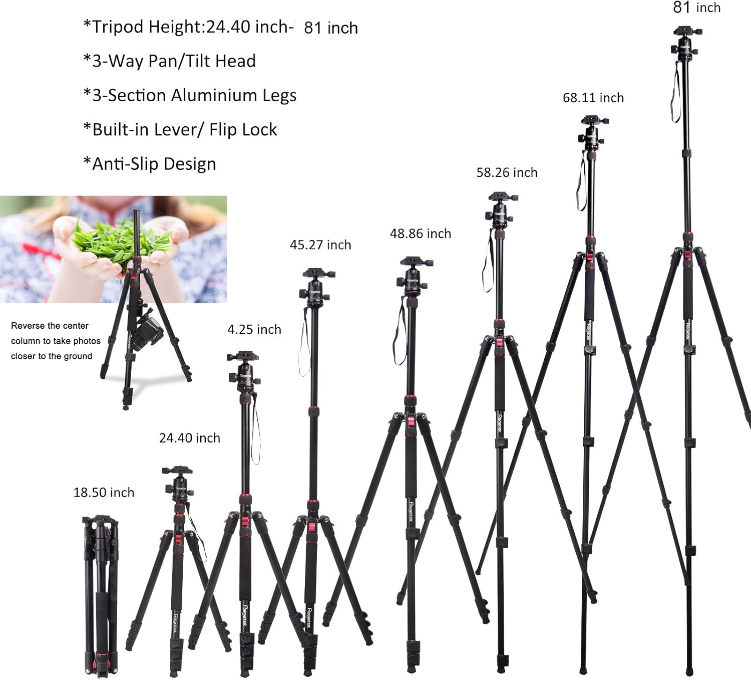 Regetek 81 Inch Camera Tripod Monopod (Professional Aluminum DSLR Binocular Telescope Video Tripod) with 360 Panorama Ball Head for Canon Nikon Sony Olympus DV Gopro with Carry Bag : Electronics