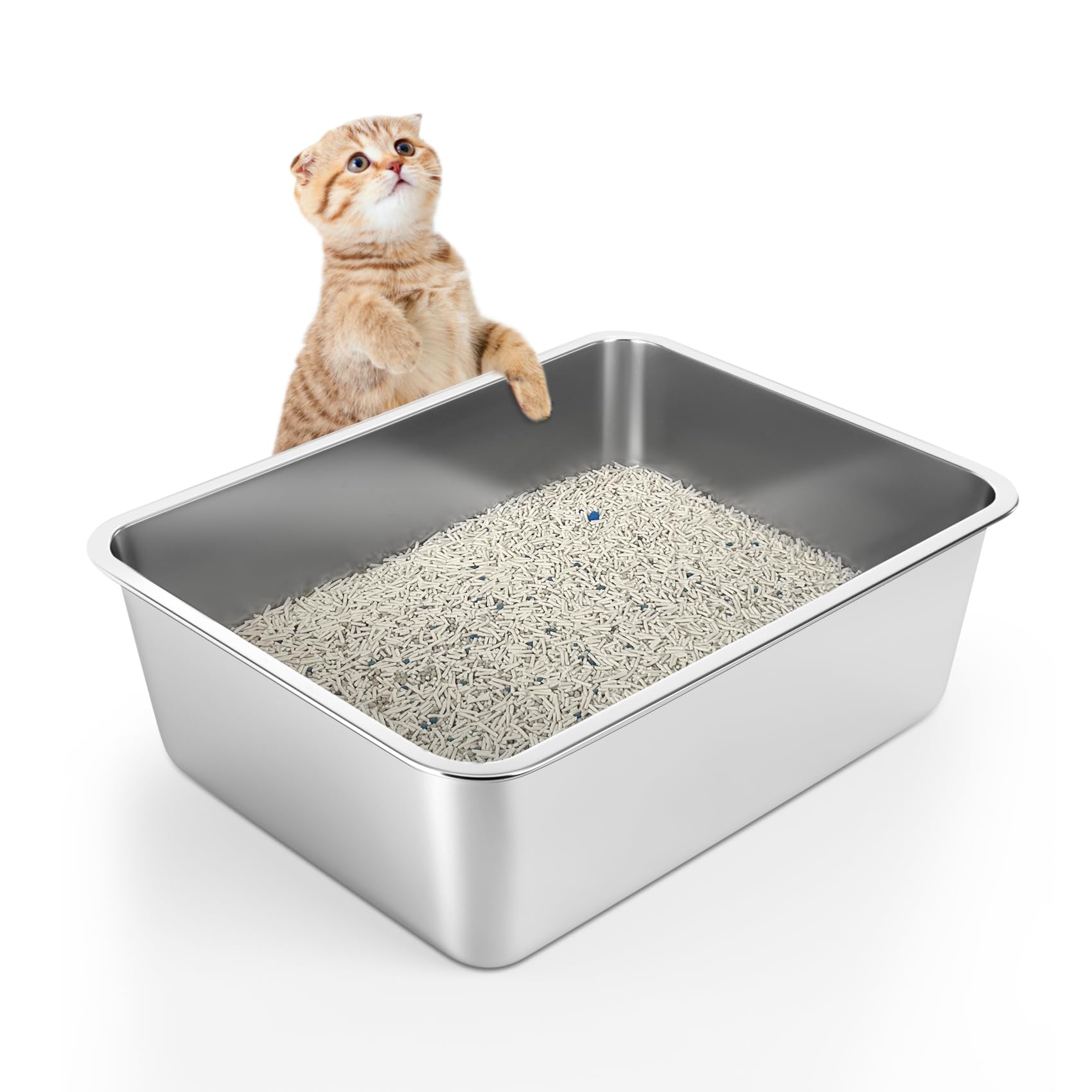 WENBOKMIN Stainless Steel Cat Litter Box - Litter Box for Big Cats - Easy to Clean, Never Absorbs Odor, Stains, or Rusts - Silver (17.7" L x 13.5" W x 6" H)