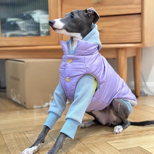 Foto 6 de 6 de UOSIA Ropa de Galgo Italiano suéter cálido de otoño para Whippet Cuello Alto elástico Cachorro Mono clásico…