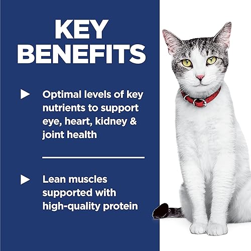 Miniatura 4 de Bolsa de comida seca para gatos de Hill's Science Diet, antienvejecimiento, para gatos adultos de más de 11 años