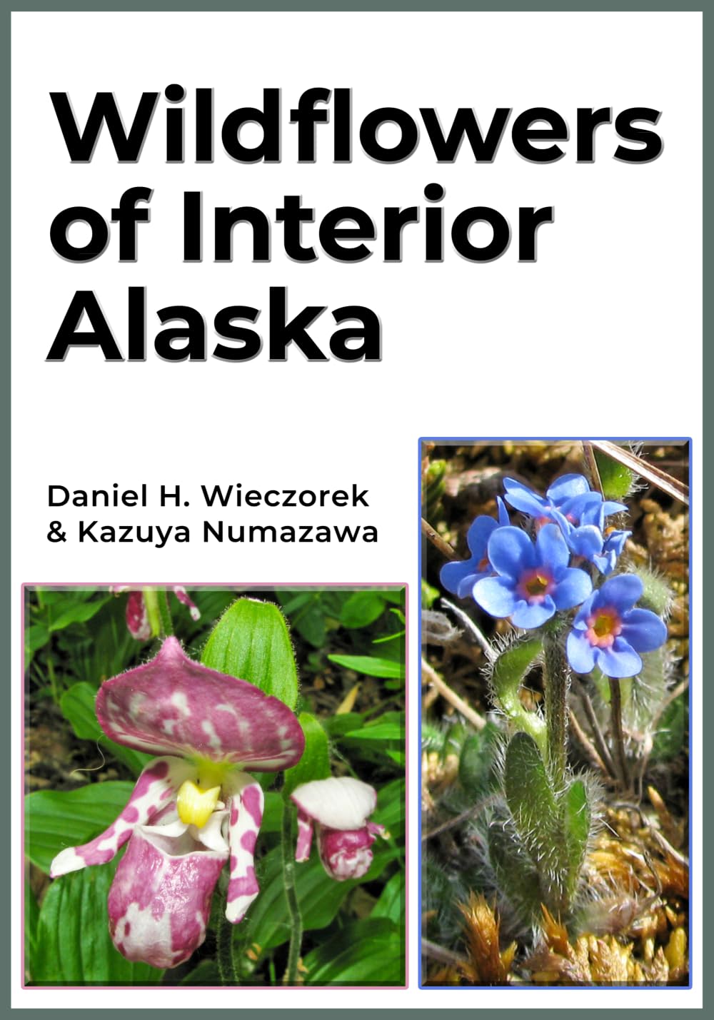 Wildflowers of Interior Alaska (Alaska Wildflowers)