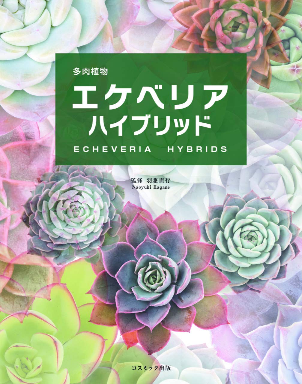 多肉植物エケベリアハイブリッド (コスミック書籍) | 羽兼直行 監修