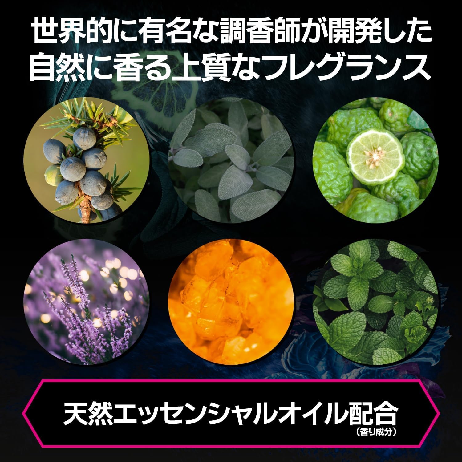 Amazon | AXE(アックス) ブラックバニラ ボディスプレー 3本セット