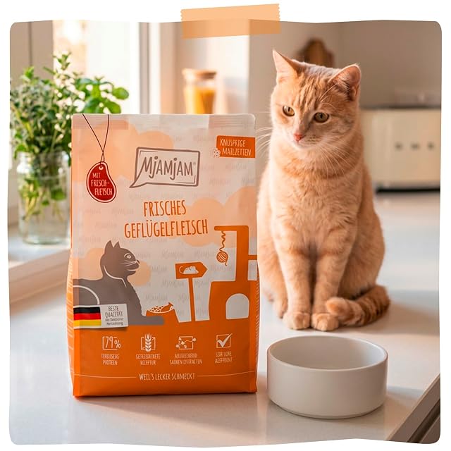 Foto 6 de 6 de MjAMjAM - Pienso seco Premium para Gatos - Comidas crujientes