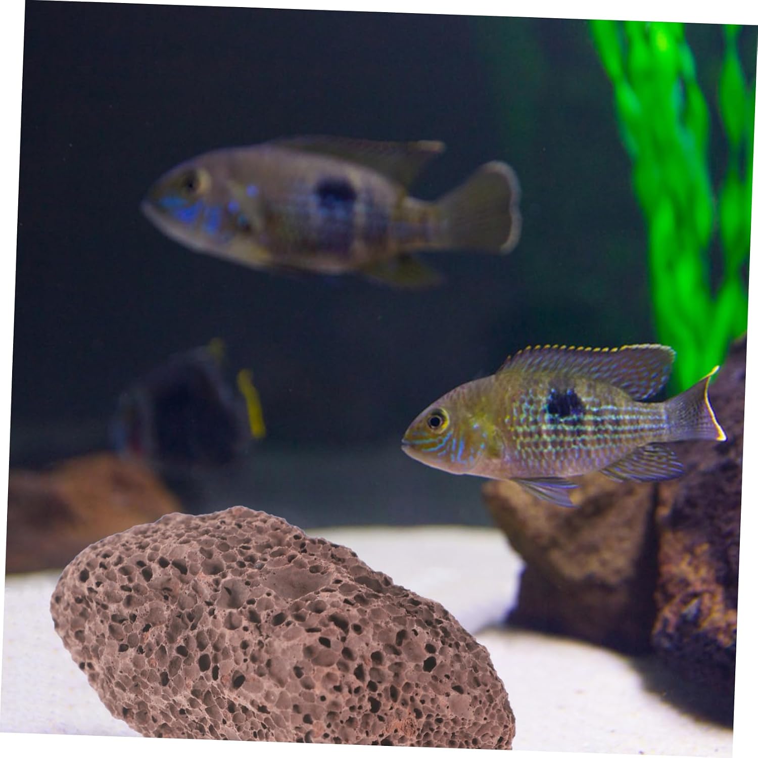 Stone Volcanic Stone Paving Bag Fish Tank Water Ornament Lava Rock Decor