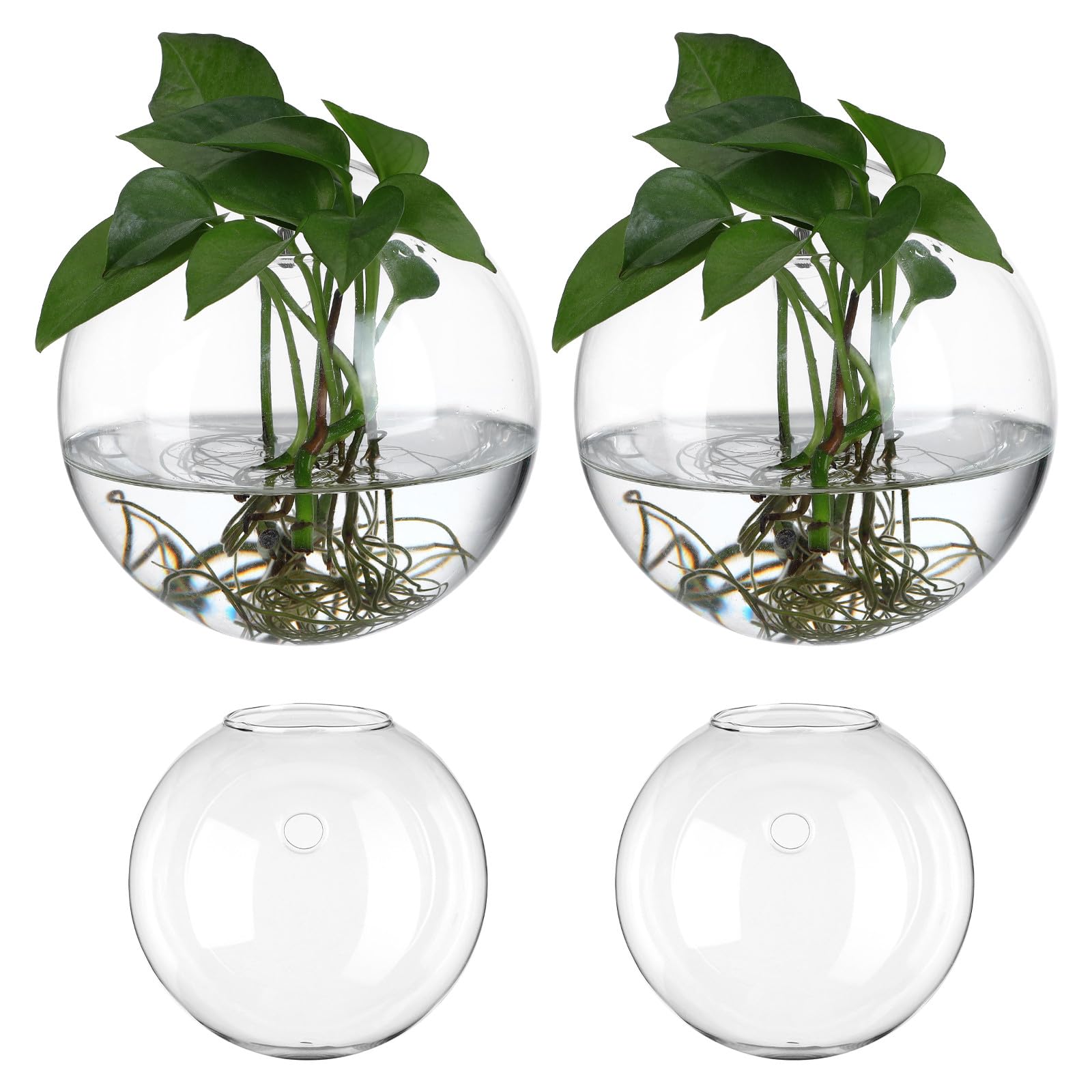 SHINEOFI Jardinières Murales en Verre Transparent Lot de 4 Vases Muraux pour Boutures Station de Propagation Suspendue pour Plantes d'Intérieur Décoration Salon Cuisine